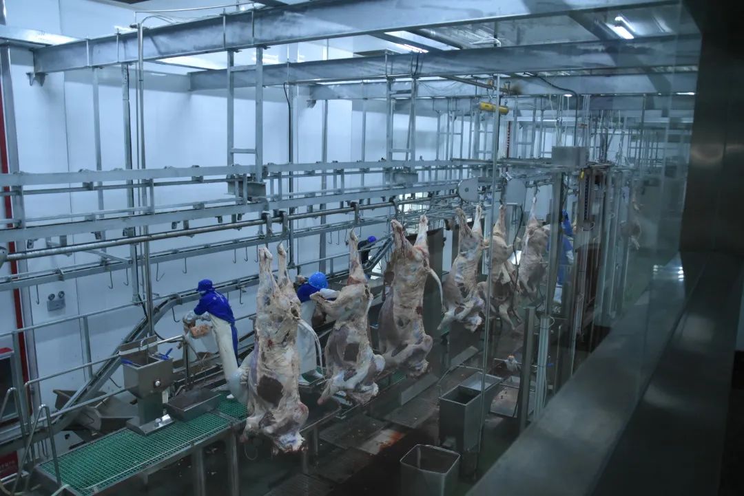 1685948378975124.jpg 640 (9).jpg